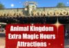 Animal Kingdom Extra Magic Hours Rides
