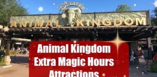 Animal Kingdom Extra Magic Hours Rides