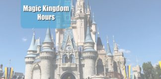 Magic Kingdom Hours